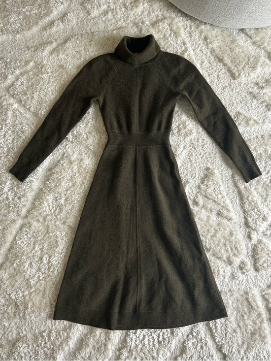 Derek Lam Dresses & Skirts - Derek Lam Bethany Turtleneck Dress